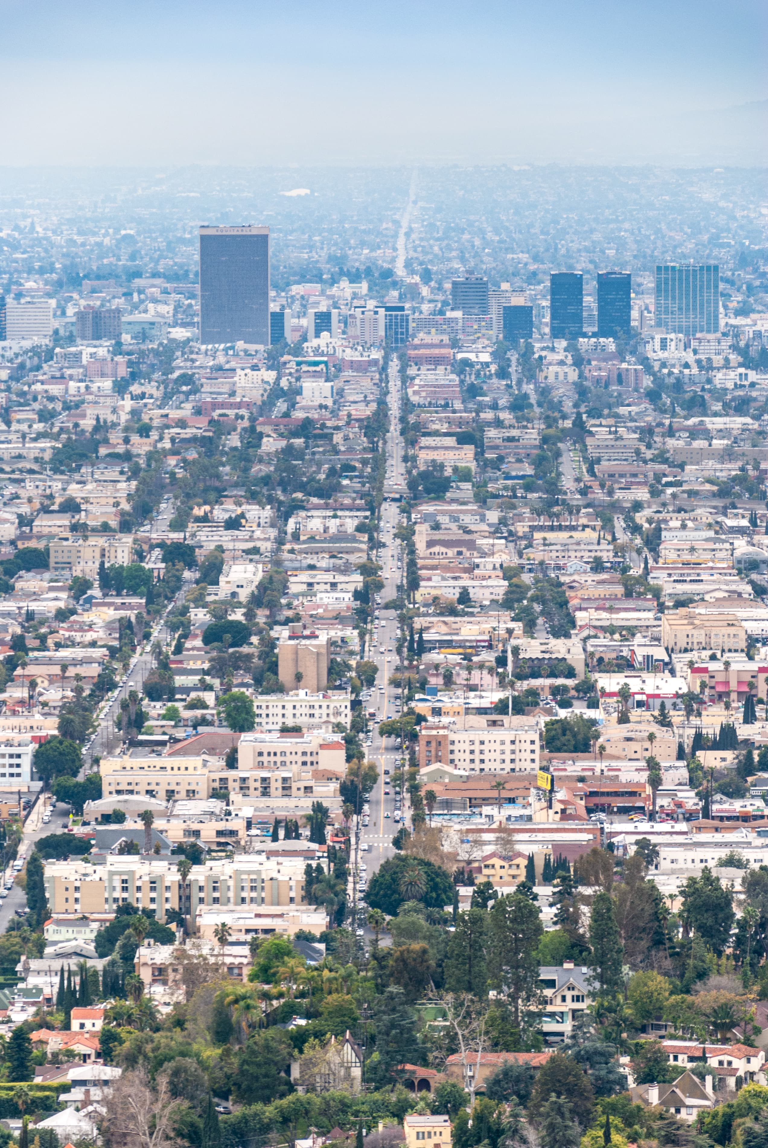 今天在Wilshire Blvd上,被这排梧桐树和远处的Equitable Tower戳中了——老派洛杉矶的呼吸感封面图