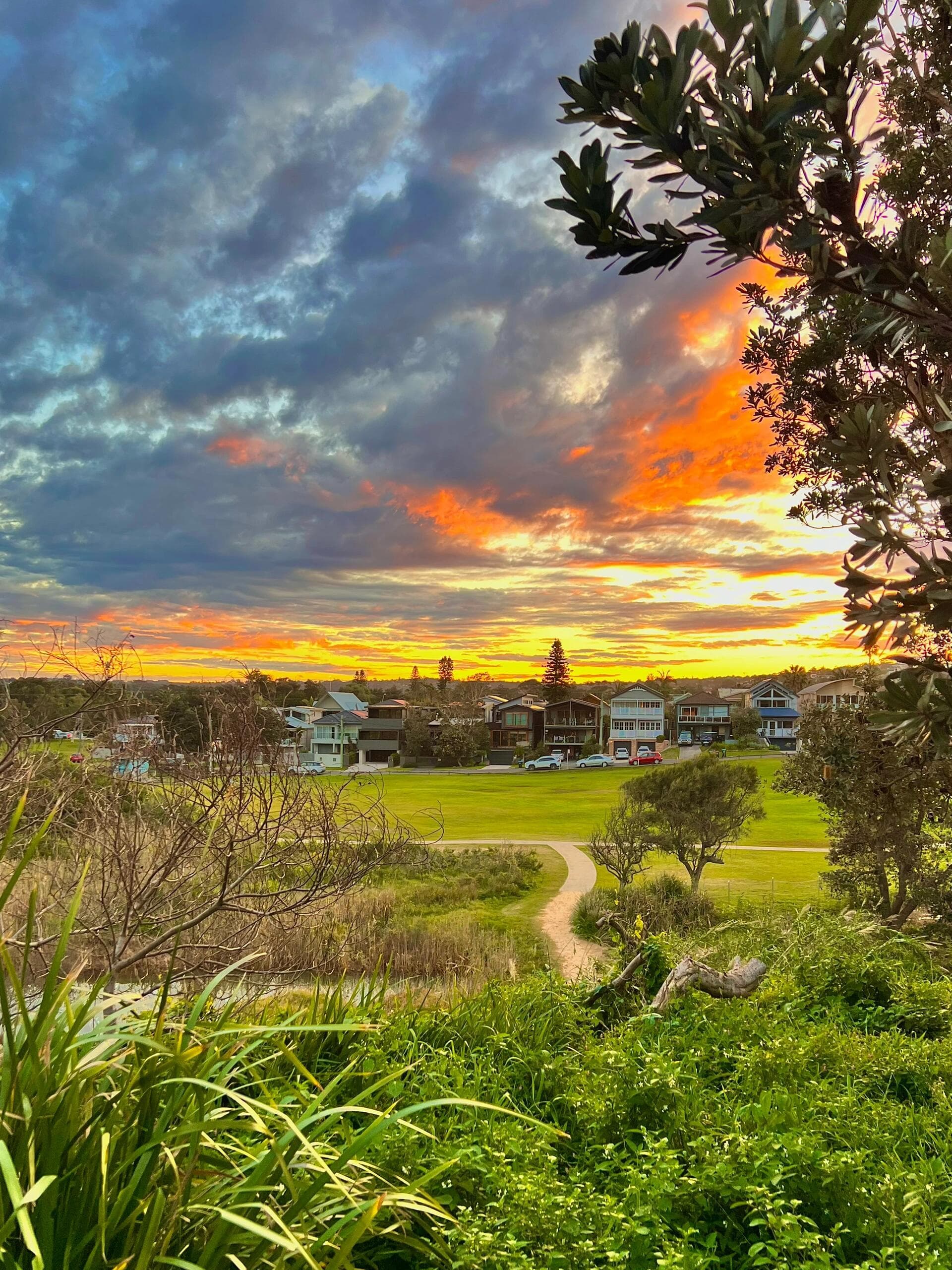 夕阳把云朵烤成了焦糖色，路过这片草坪时刚好停住脚步封面图