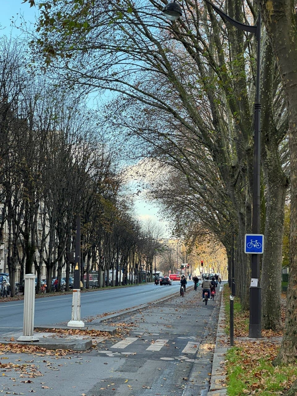 秋日骑行通道，落叶铺满的通勤路 🍂🚲封面图