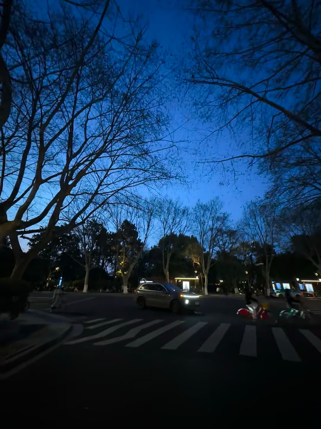 蓝调时刻的街角，车灯和树影在斑马线上打了个照面封面图