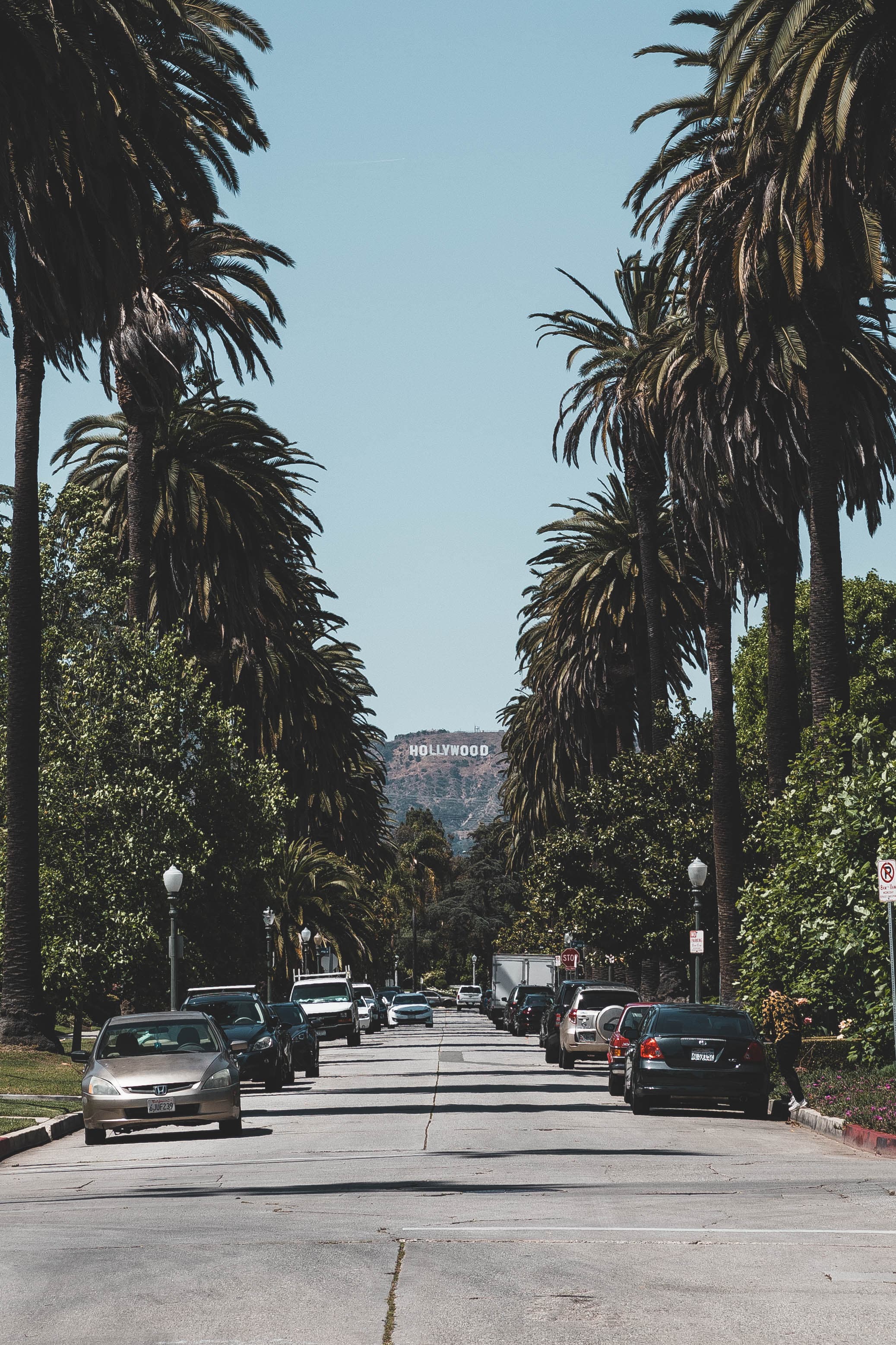 路过Hollywood山脚,车流里突然被这排棕榈树戳中了——阳光、旧车、还有远处那几个字母,像老电影片头封面图