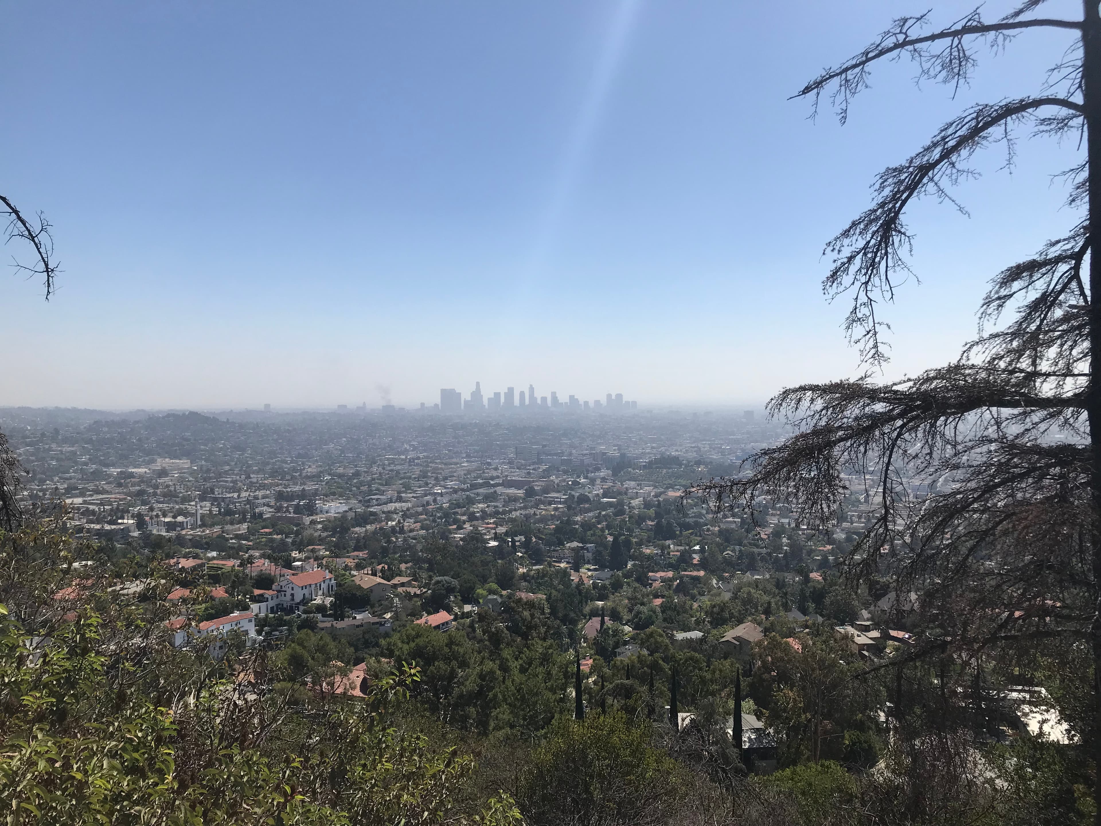 今天在山坡上偷看LA天际线,风把头发吹成海藻封面图