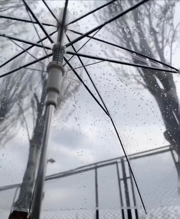 雨天撑伞出门，伞面像被撒了一把糖霜…今天在Central Park西边小径晃悠封面图