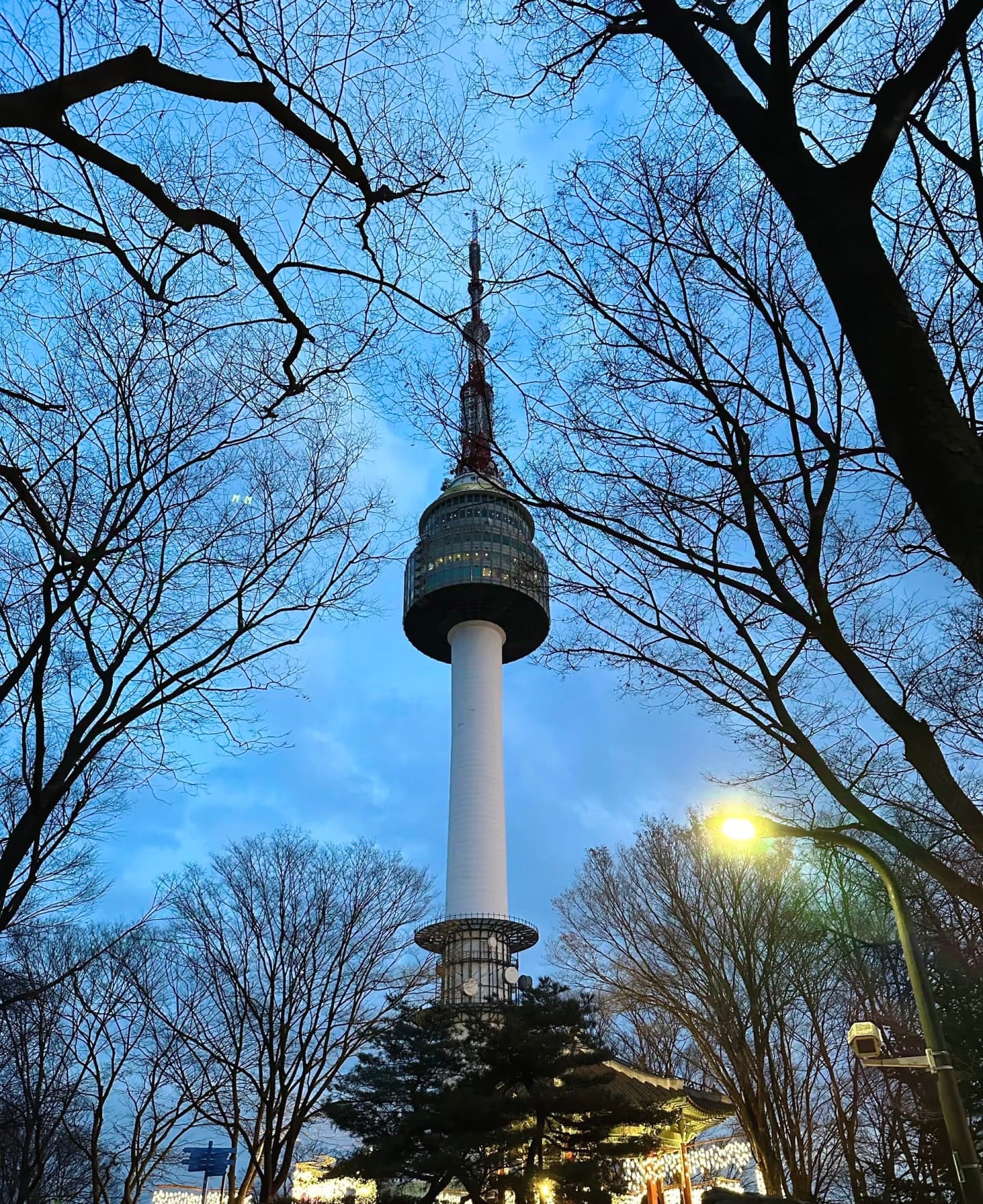 傍晚路过N Seoul Tower,树枝剪影+蓝调天空,随手一拍像电影帧封面图