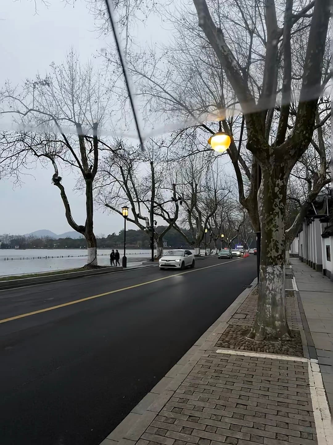 雨天湖边开车，路灯一亮像进了童话片 🌧️✨封面图