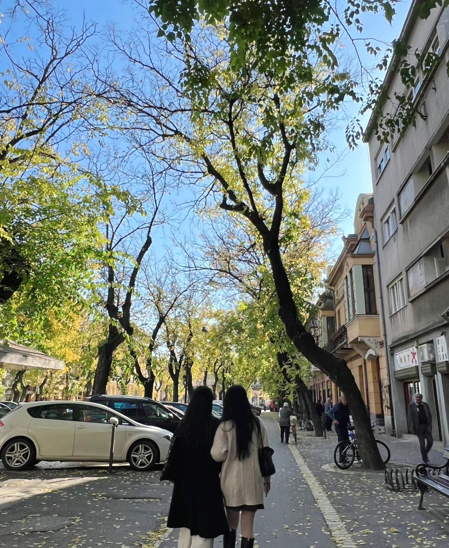 秋日街角,两个影子并肩走着封面图