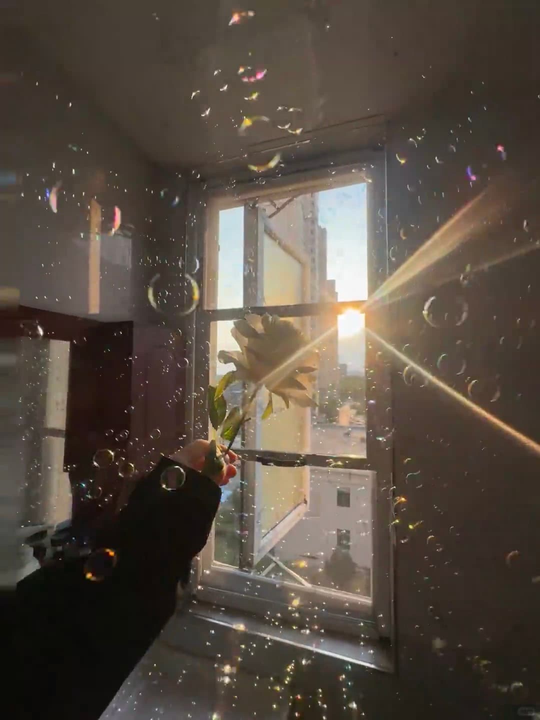 下午四点的窗边，阳光和泡泡一起偷溜进房间✨封面图