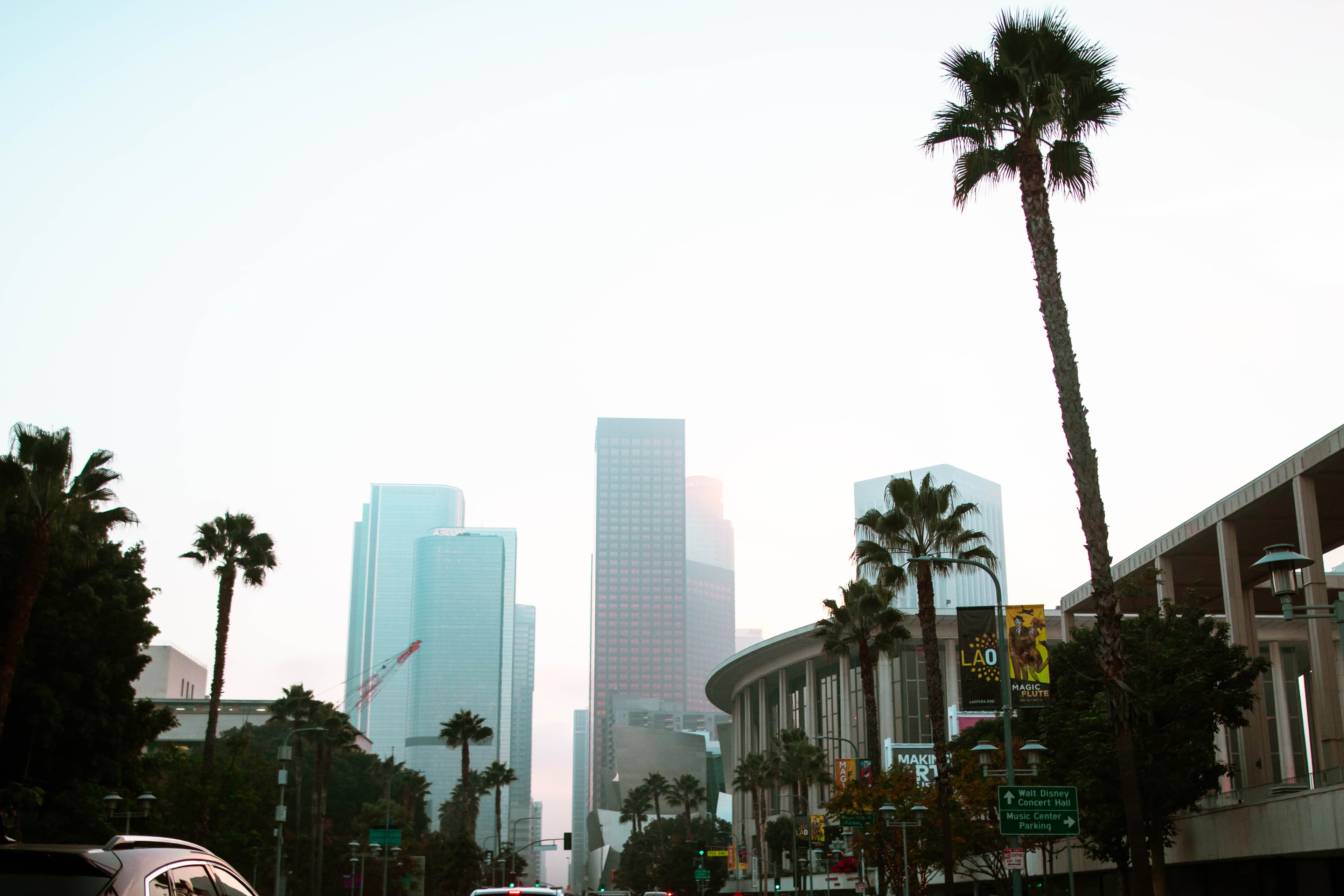 傍晚路过Downtown，棕榈树影子拉得老长了 🌴封面图