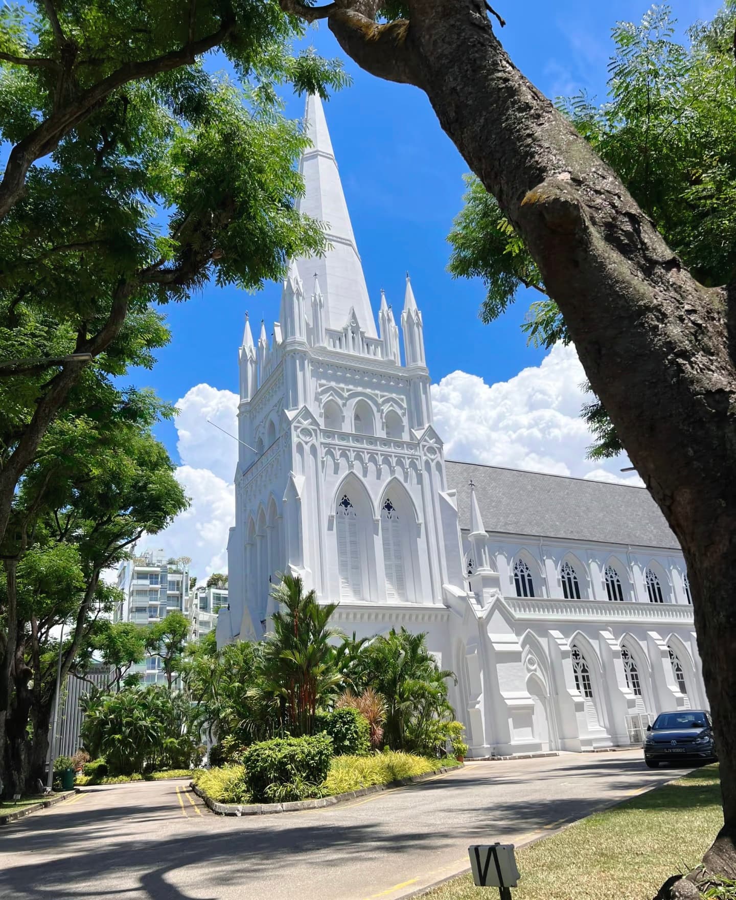 路过圣安德烈教堂时被这白得晃眼的尖顶戳中了——今天在新加坡街头，连树影都自带滤镜封面图
