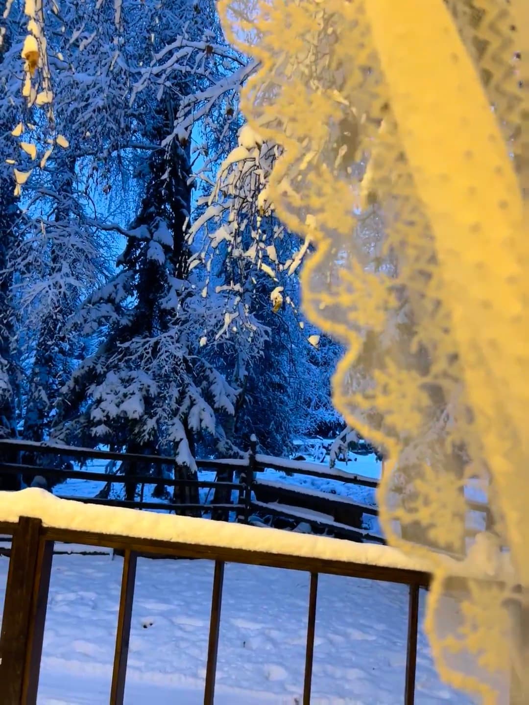 窗边雪景|今早推开门,整个世界都安静了封面图