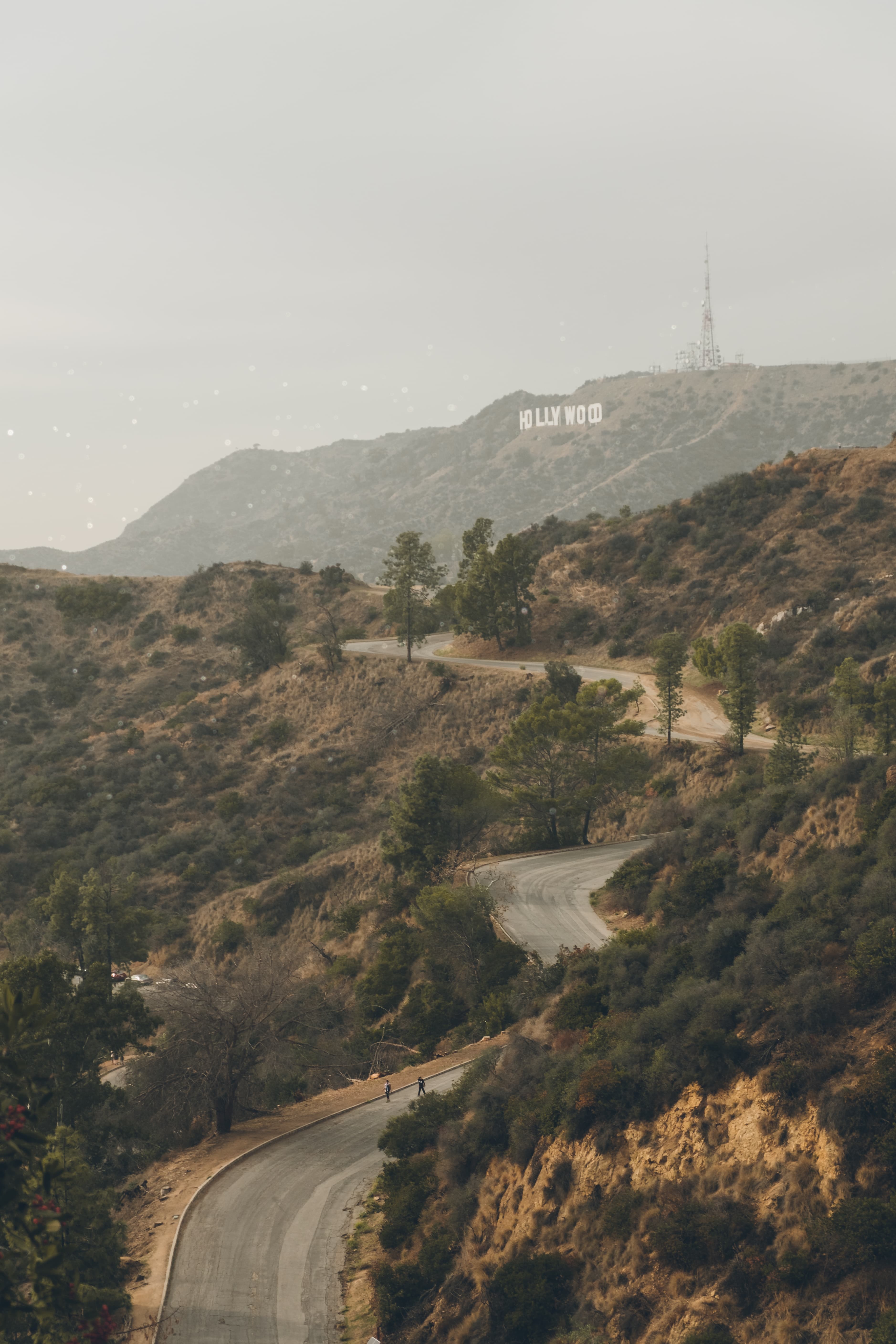 今天在Hollywood山脚绕了三圈，风大得想把人吹进柏油路里封面图
