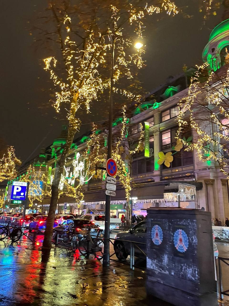 雨夜街角，树梢挂满星星灯✨封面图