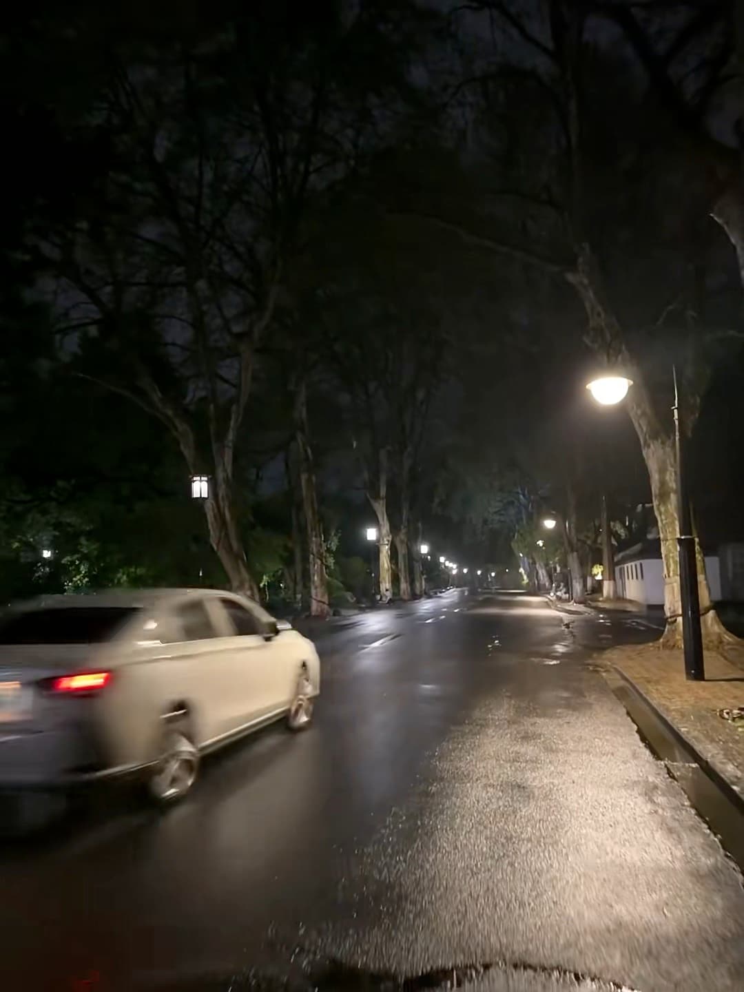雨后深夜街灯下，白车一闪而过 🚗✨封面图