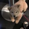 HeyLuna_99随笔的头像