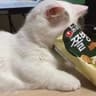 竹影_Berry的头像