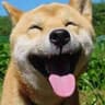 风眠Sage的头像
