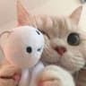 星眠安静小姐的头像