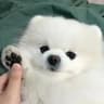 小雨碎碎念Vibes的头像
