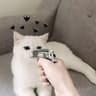 Ace晴天的头像