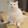 Toby.Wave的头像