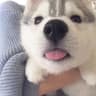 OnyxLatte的头像