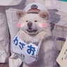 青黛再来一局的头像