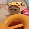 MomoLovely的头像