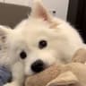 春山Orbit的头像
