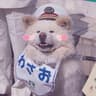 EllisLemon的头像