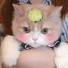Ace.Glow的头像