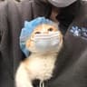 Skye无恙的头像