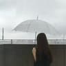 Lily.Cloud的头像