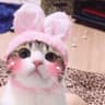 Ruby_Sugar的头像