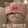 安禾选手的头像