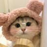 Its向阳小花Vibes的头像