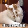 快乐营业中Daily的头像