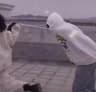 云朵_Bunny的头像