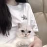 桃桃不逃Vibes的头像
