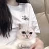 Talia洛宁的头像