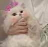 CloverSpark的头像