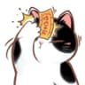Sunday的浅梦的头像
