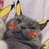 HoneyMocha的头像