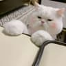 Ruby.Friday的头像