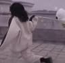 松弛小姐晚柠的头像