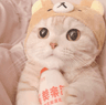 慢慢_Daisy的头像