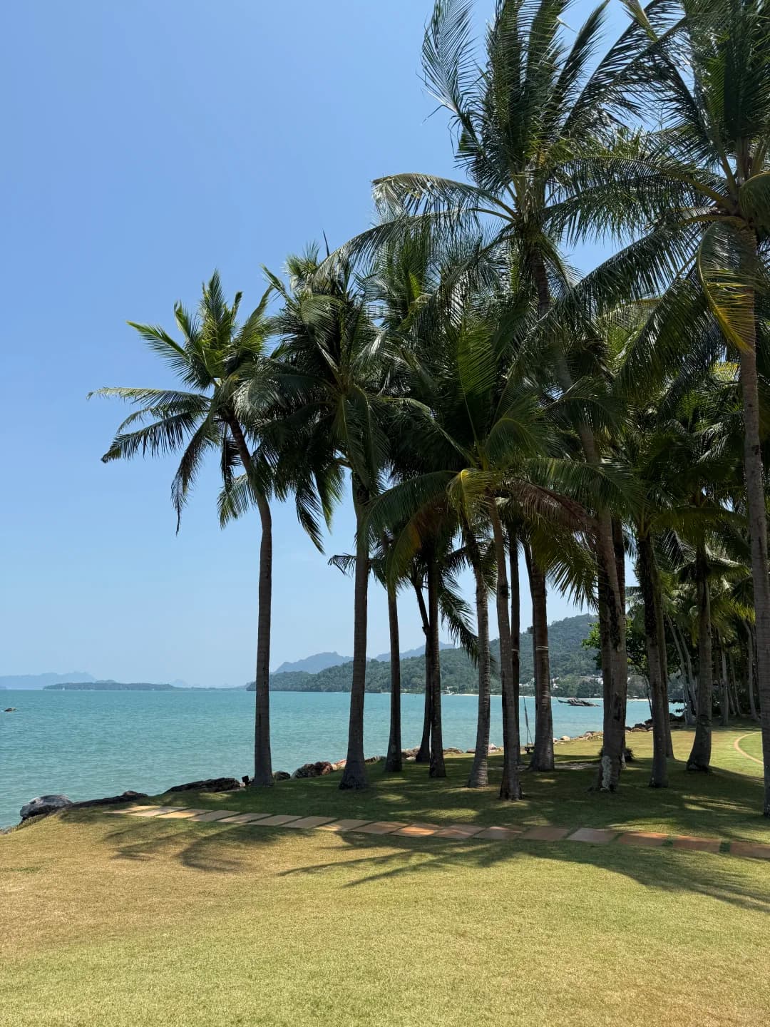Krabi🌴封面图