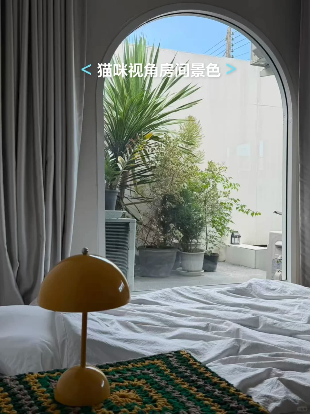 清迈租房Maya后面找合租11.19-12.19封面图