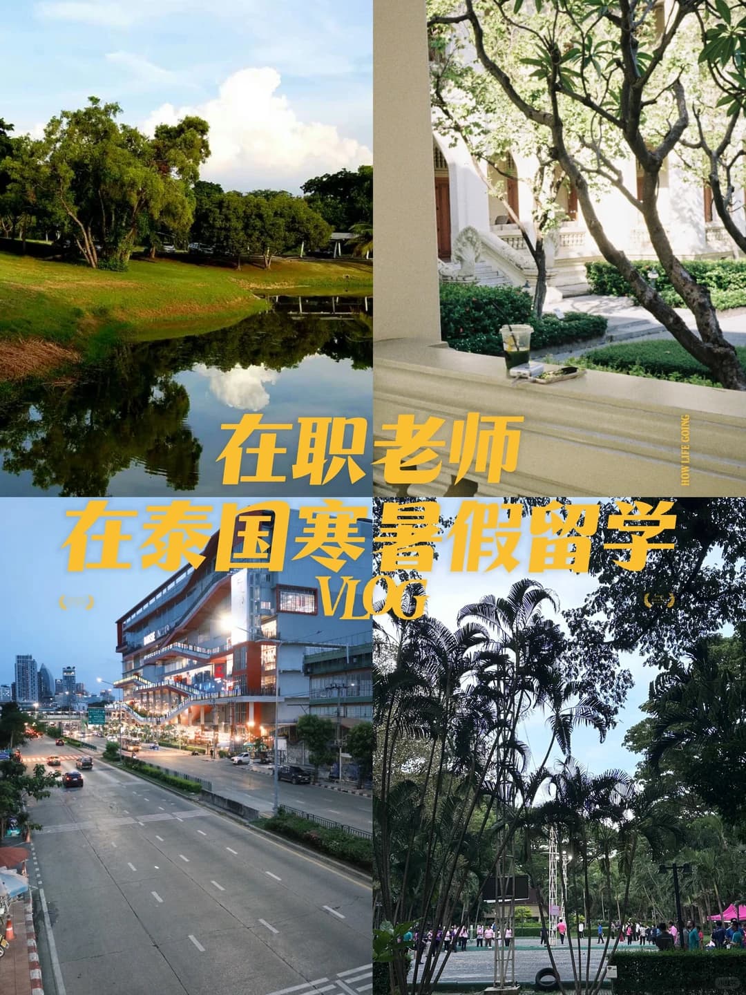 预算有限+不能辞职，在职老师怎么提升学历封面图
