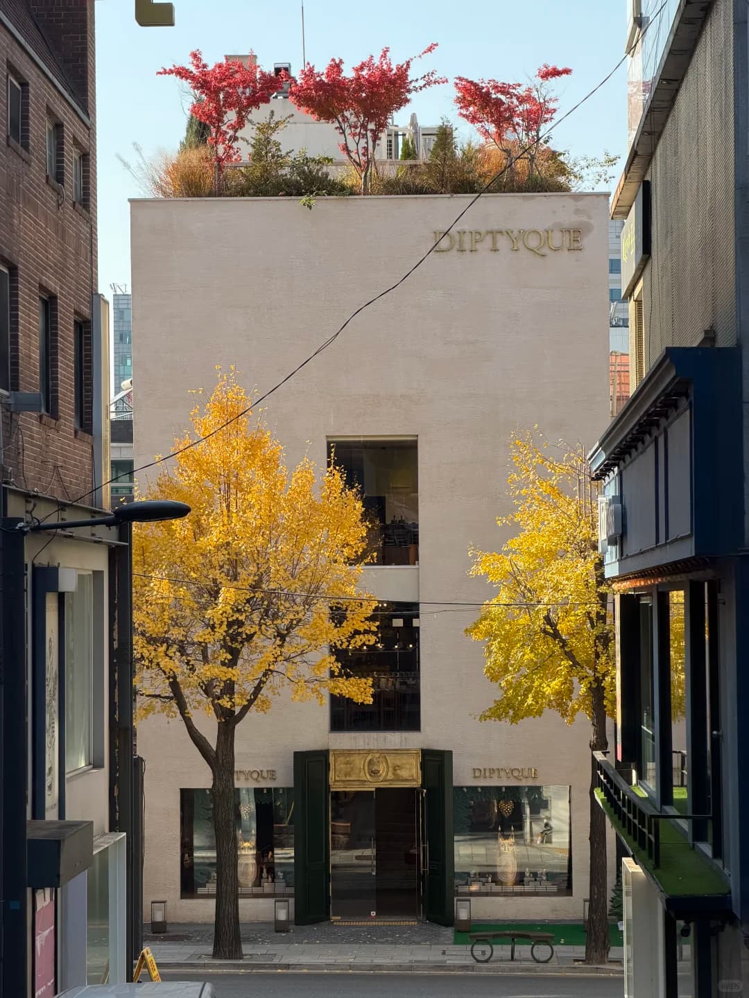已经开始期待首尔的秋天🍂封面图