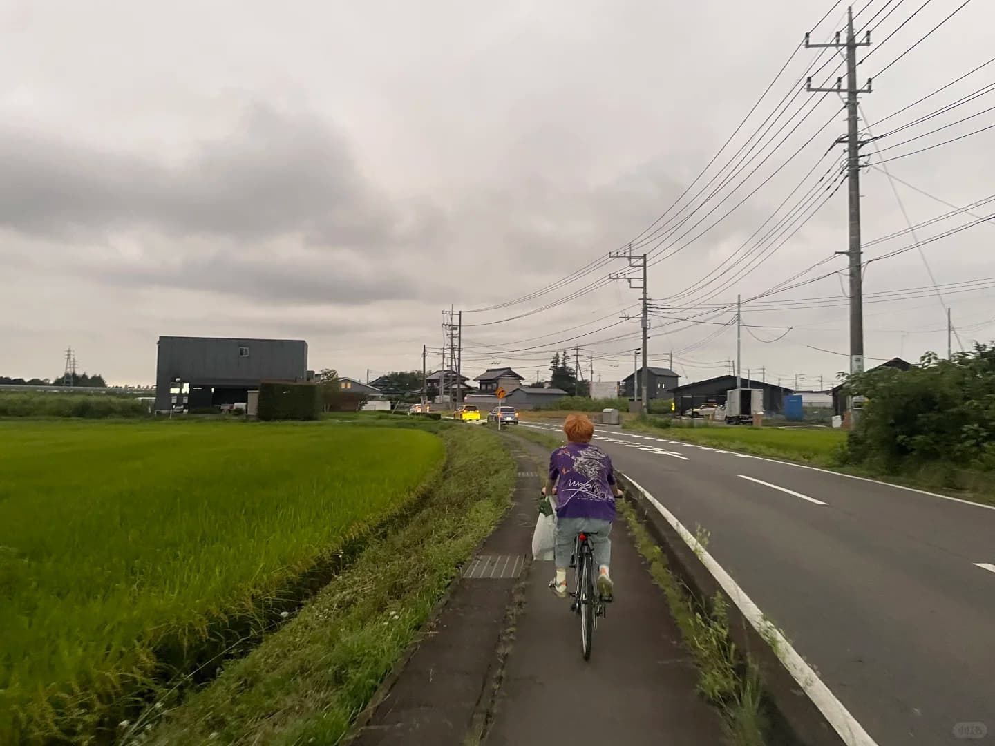 花了一万多，耗时半年来岛国🇯🇵进厂封面图